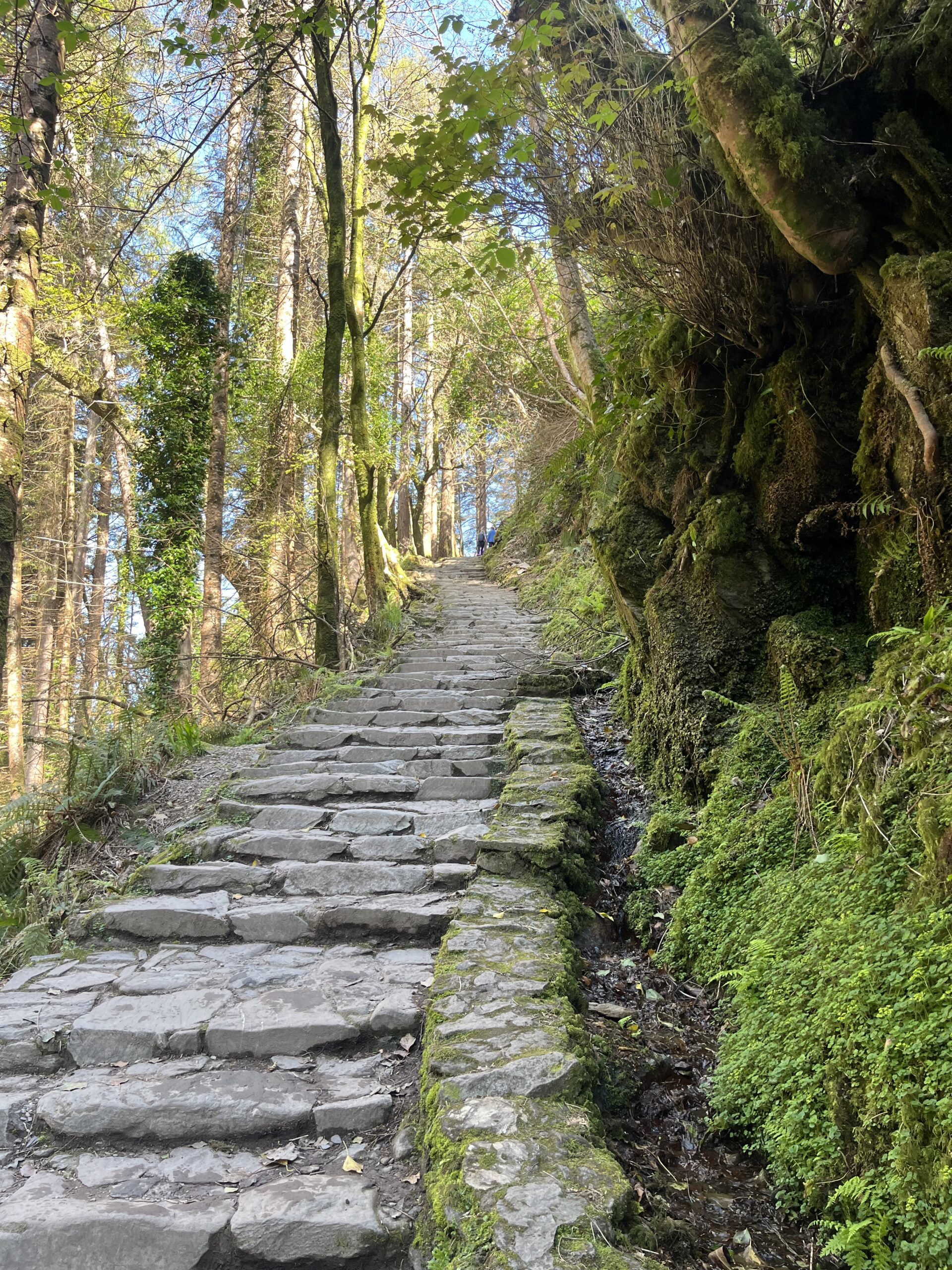 The Freedom to Choose Your Own Path