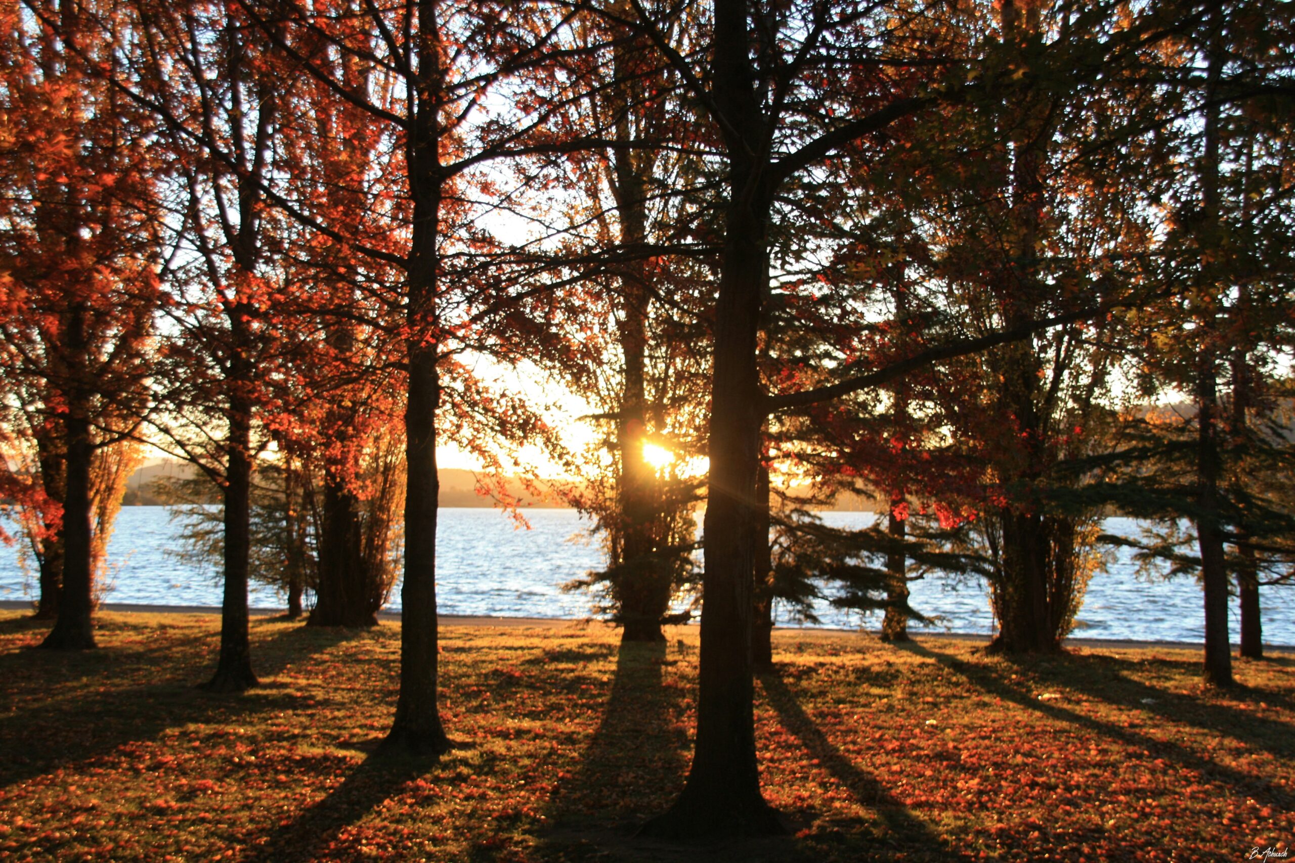 Holding On While Letting Go: A Daughter’s Story of Alzheimer’s and Love