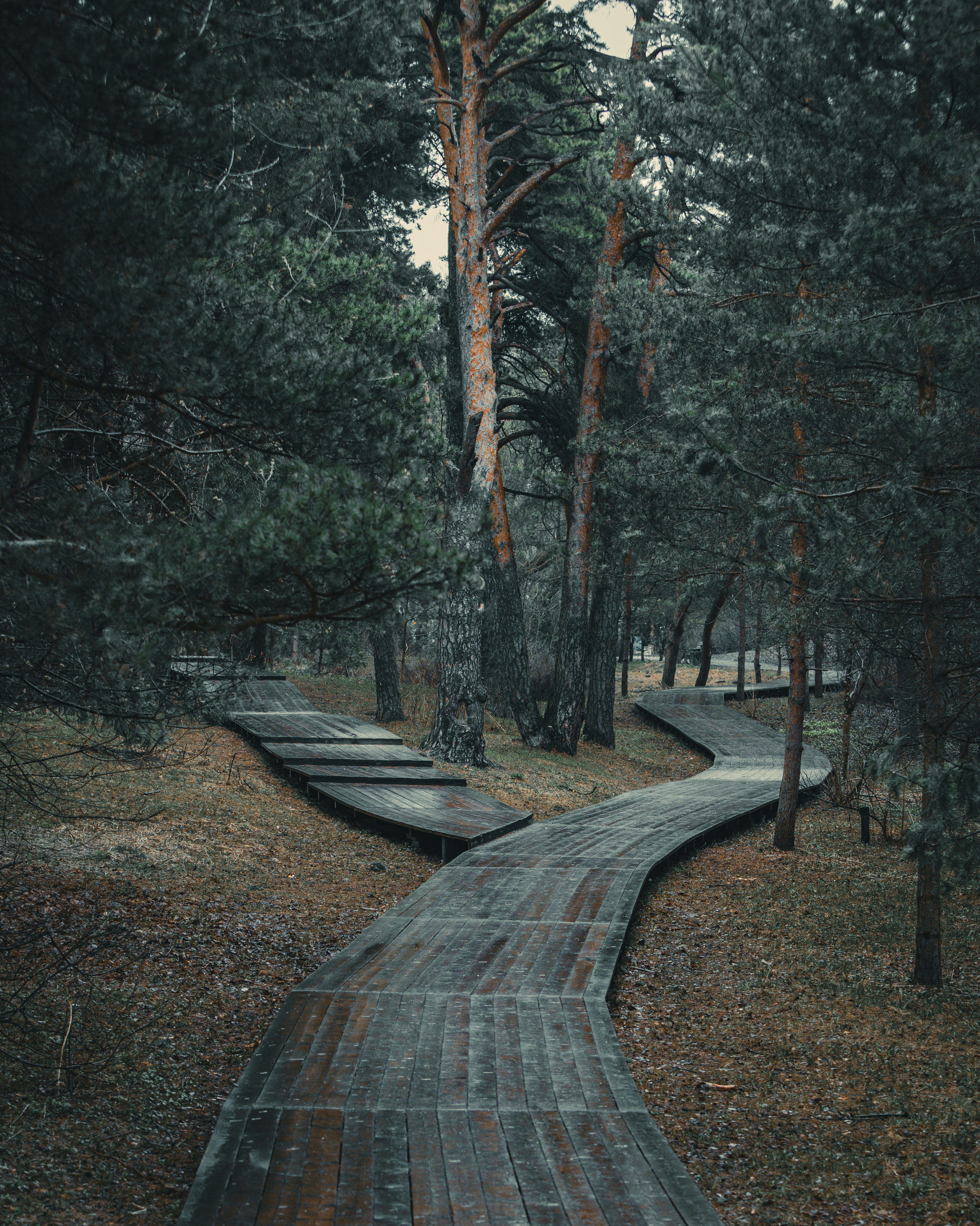 The Journey of a Divorce with Grace 