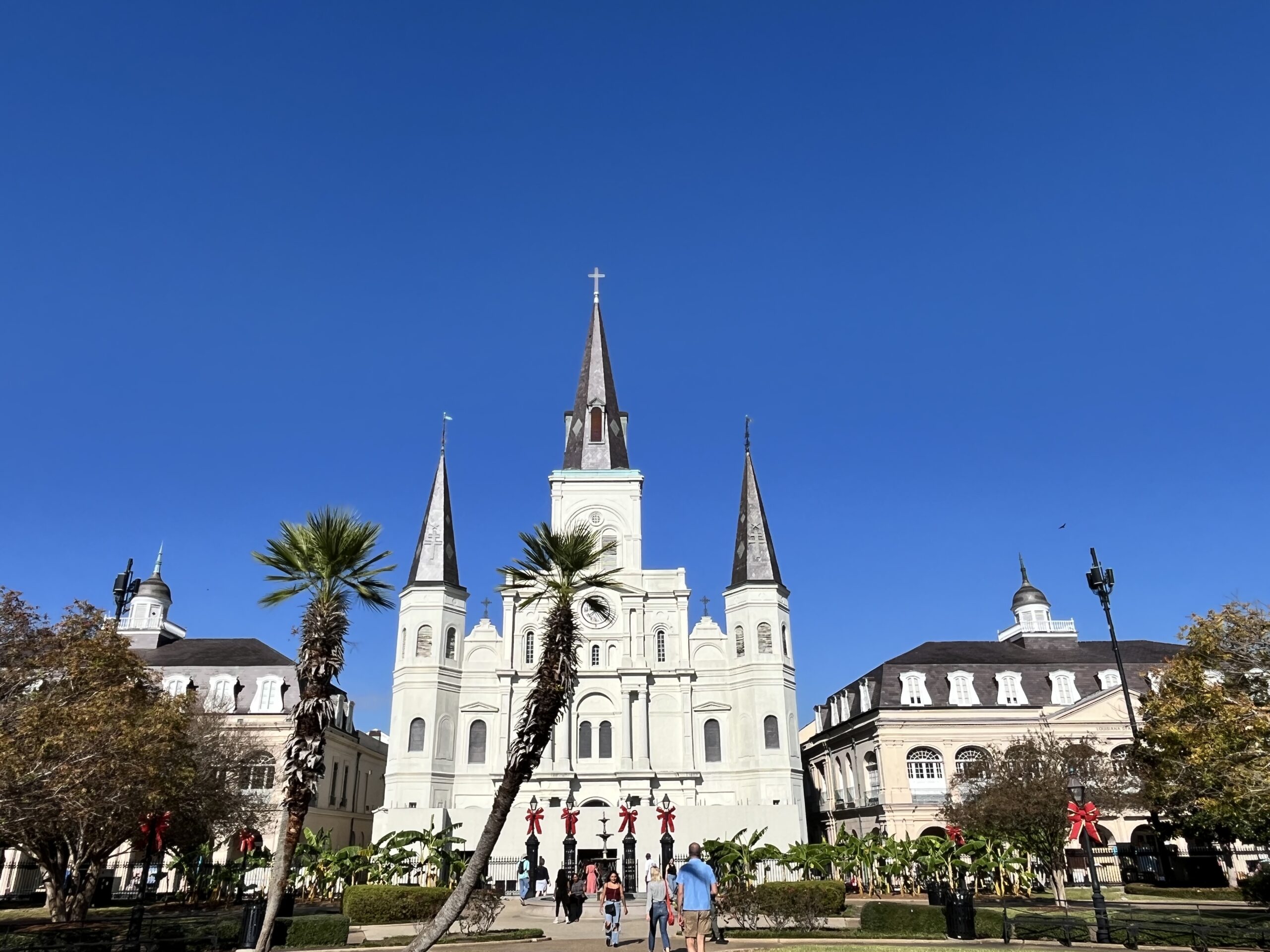 Falling for New Orleans: A Month of Culture, Flavor, and Life Lessons