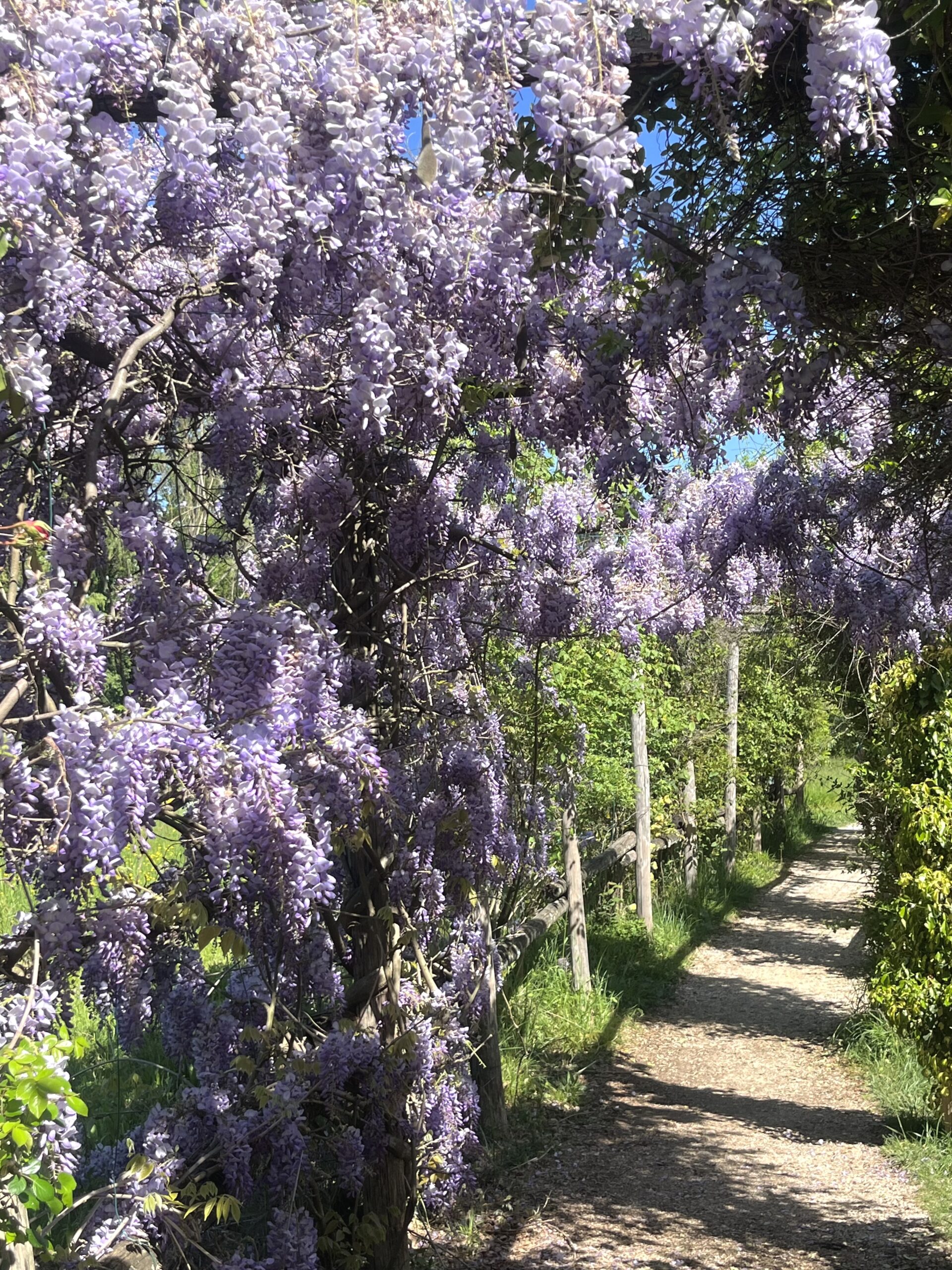 Retiring in France: Why Sundays Feel Different