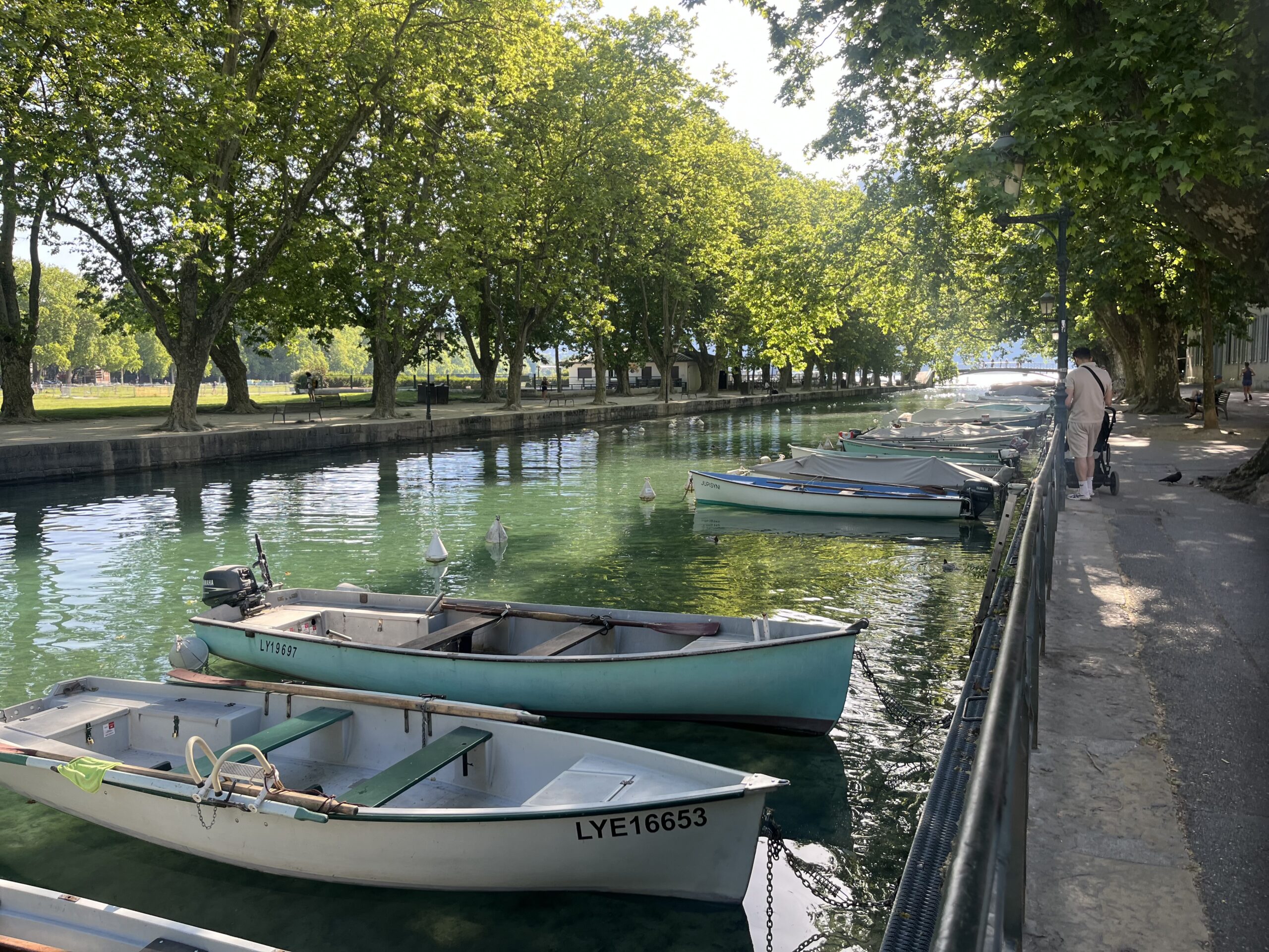 Reinvention in France: The Emotional Support Baguette